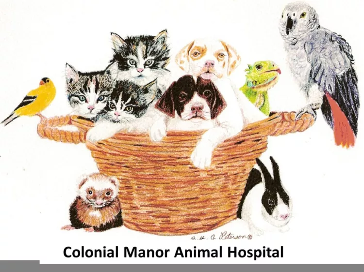 Colonial Manor Animal Hospital, Illinois, Homer Glen